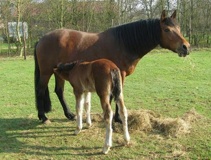 Eva Luna mit Blossom